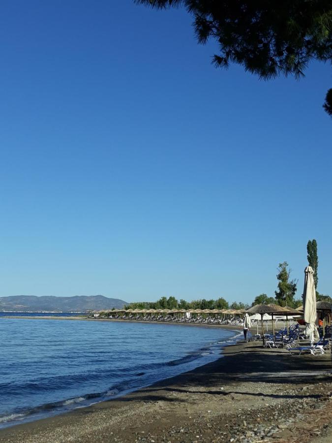 Gorjelina 'S House Villa Volos Bagian luar foto