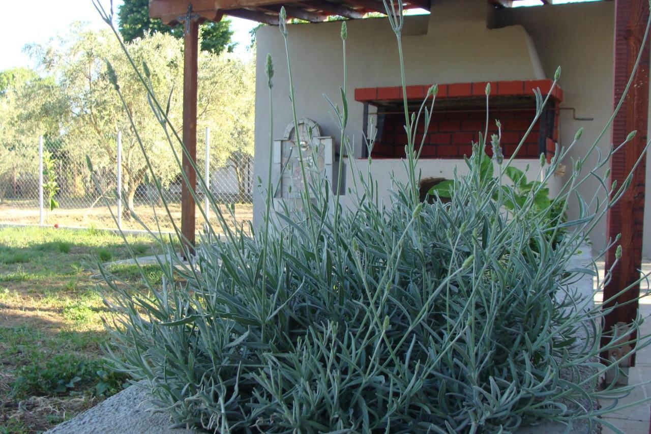 Gorjelina 'S House Villa Volos Bagian luar foto
